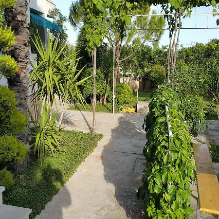Apartments Beti - 70 M From Sea Betina (Sibenik-Knin)